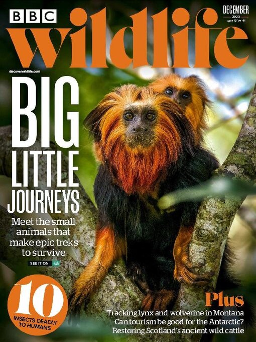 Upplýsingar um BBC Wildlife Magazine eftir Our Media Limited - Til útláns